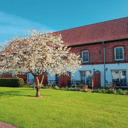 Rausch Ferienhaus
